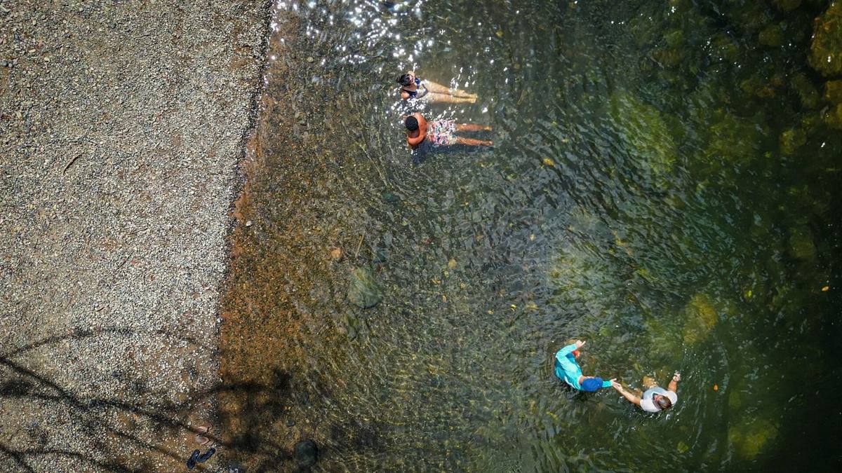 Swimmers in a rainforest river