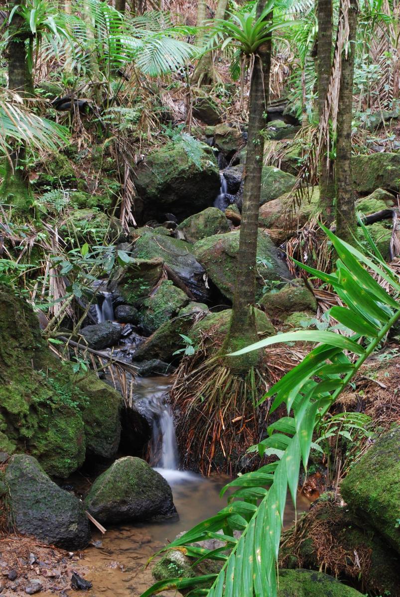 Waterfall in El Yunque
